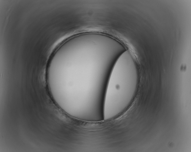 X0000097621174200802290813