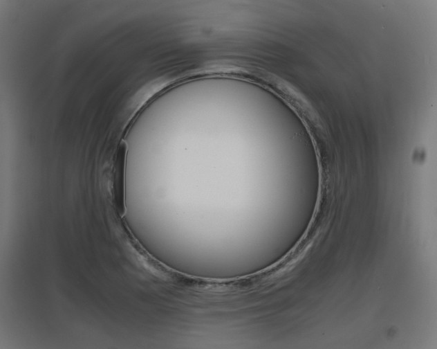 X0000097621177200802290813
