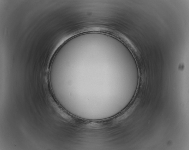 X0000097621178200802290813