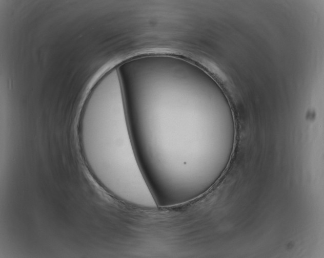 X0000097621181200802290813