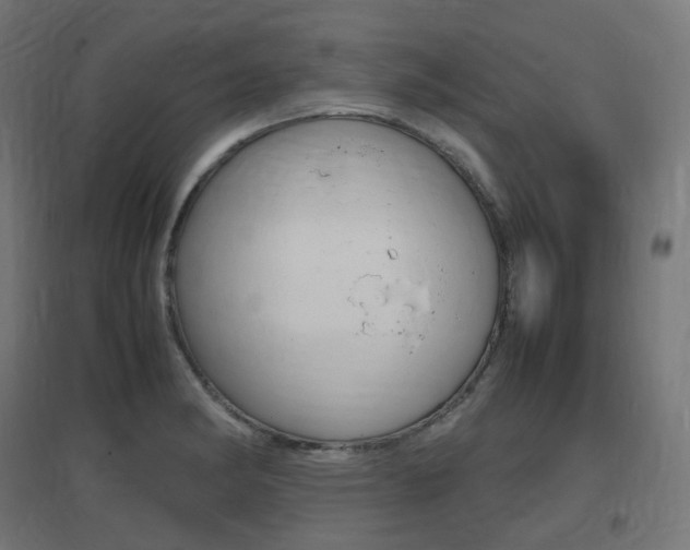 X0000097621182200802290813