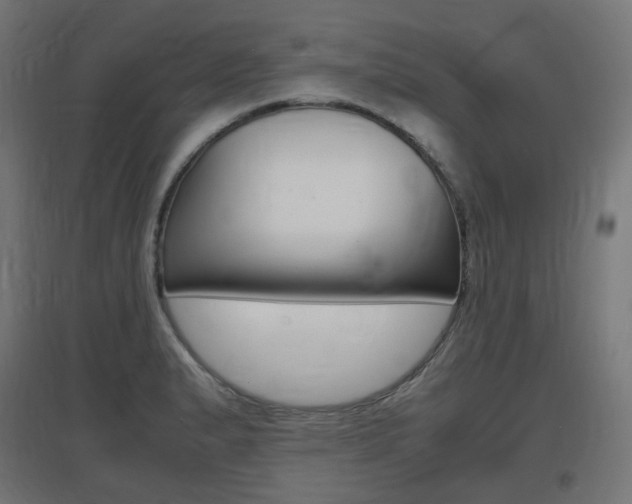 X0000097621183200802290813