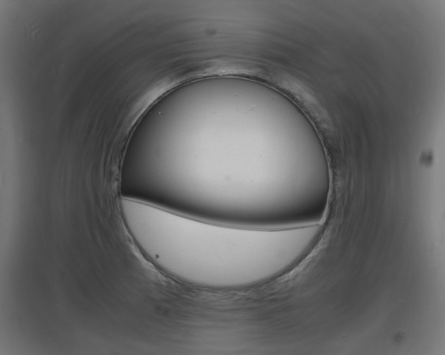 X0000097621185200802290813