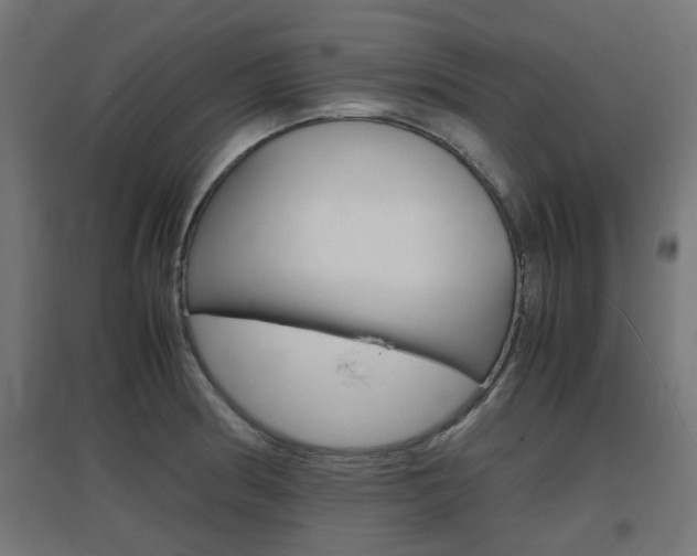 X0000097621186200802290813