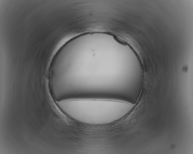 X0000097621187200802290813