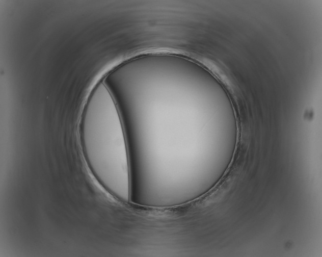 X0000097621189200802290813