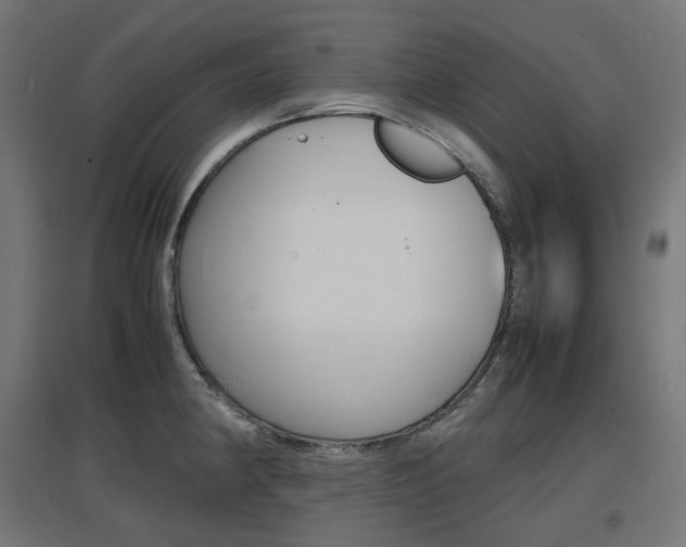X0000097621190200802290813