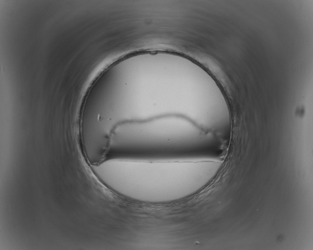 X0000097621191200802290813