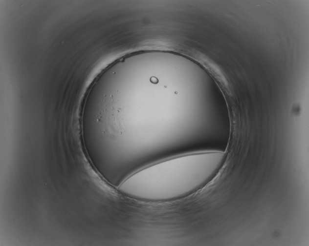 X0000097621192200802290813