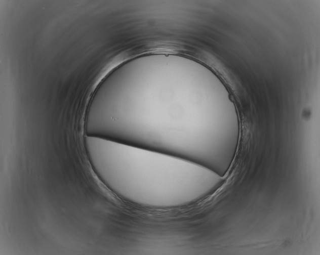 X0000097621194200802290813