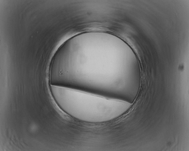 X0000097621195200802290813