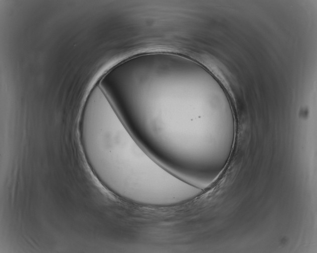 X0000097621197200802290813