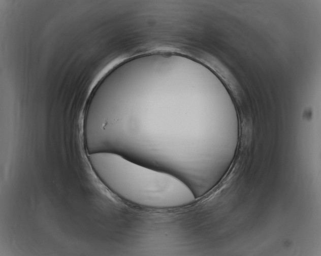 X0000097621198200802290813