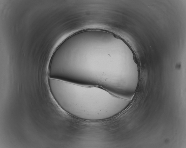 X0000097621199200802290813