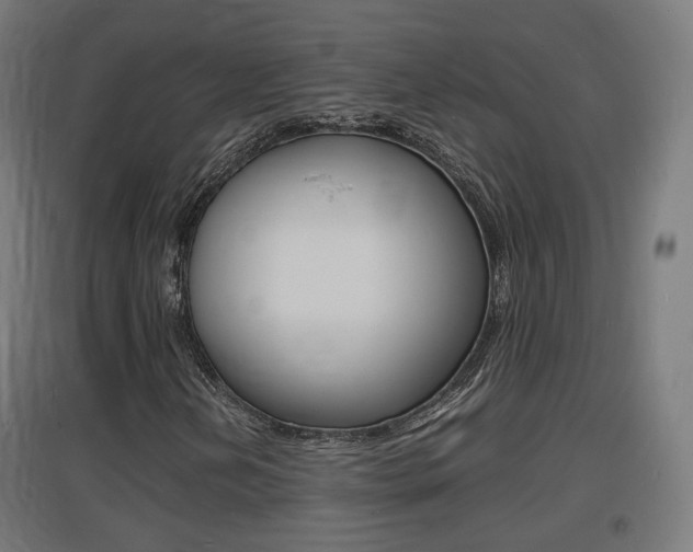 X0000097621202200802290812