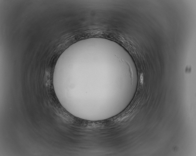 X0000097621203200802290812