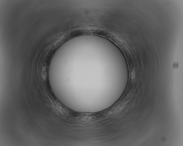 X0000097621204200802290812
