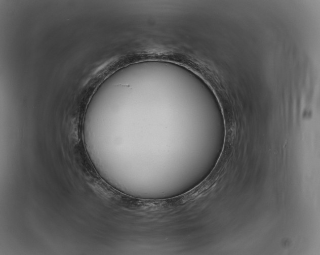 X0000097621205200802290812