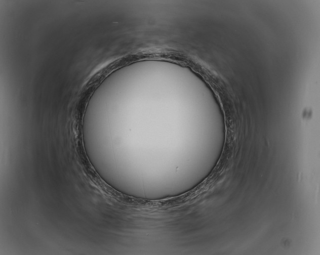 X0000097621206200802290812