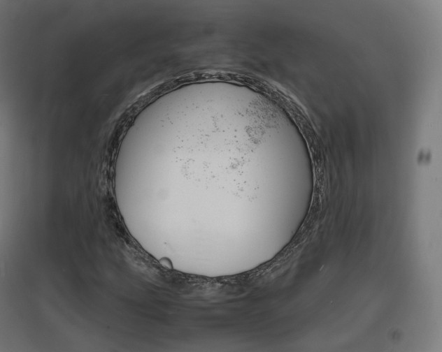 X0000097621207200802290812