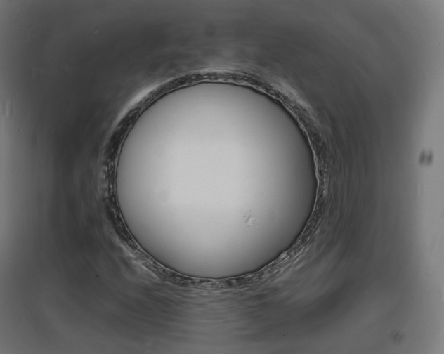 X0000097621208200802290812
