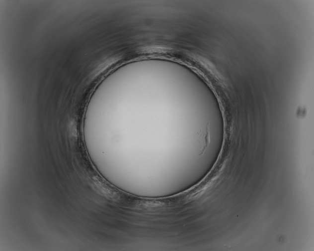 X0000097621209200802290812