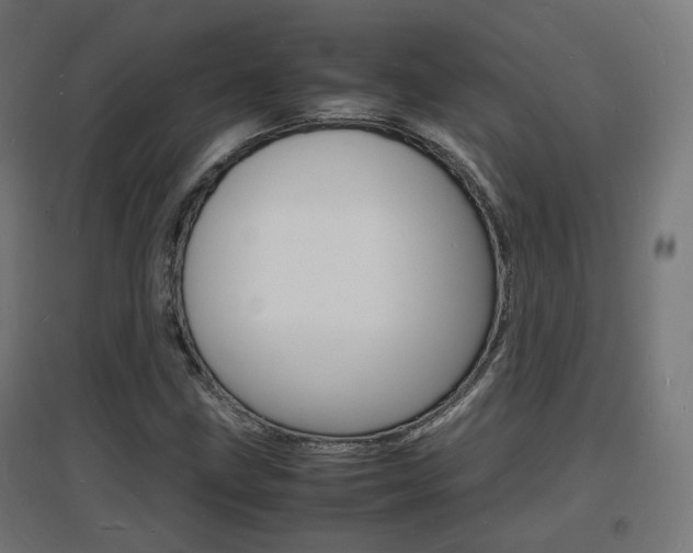 X0000097621211200802290812
