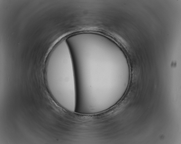 X0000097621212200802290812