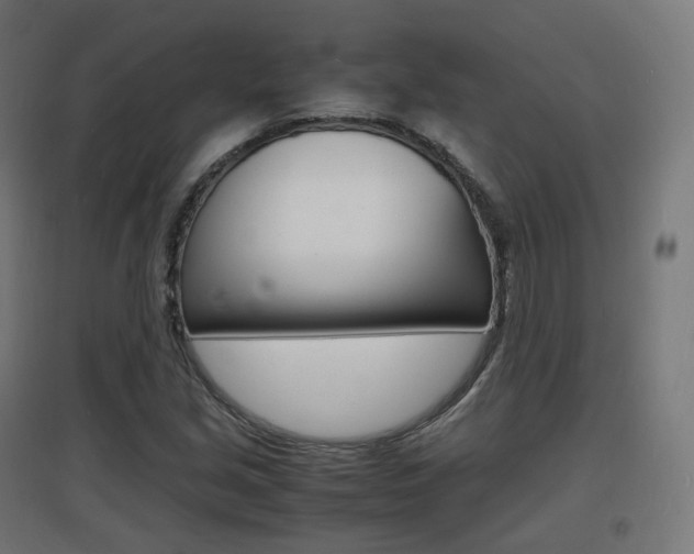 X0000097621213200802290812
