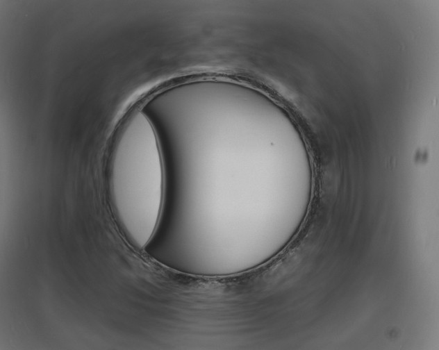 X0000097621214200802290812