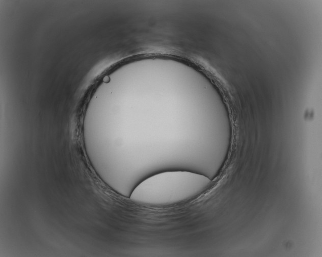 X0000097621215200802290812