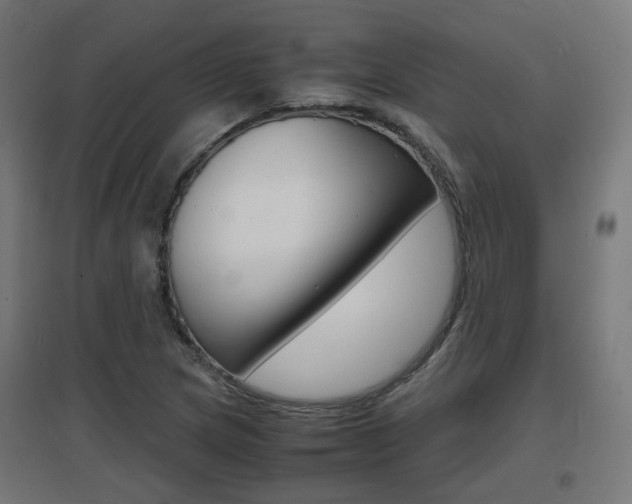 X0000097621217200802290812