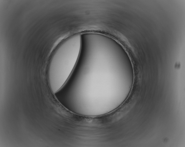 X0000097621218200802290812