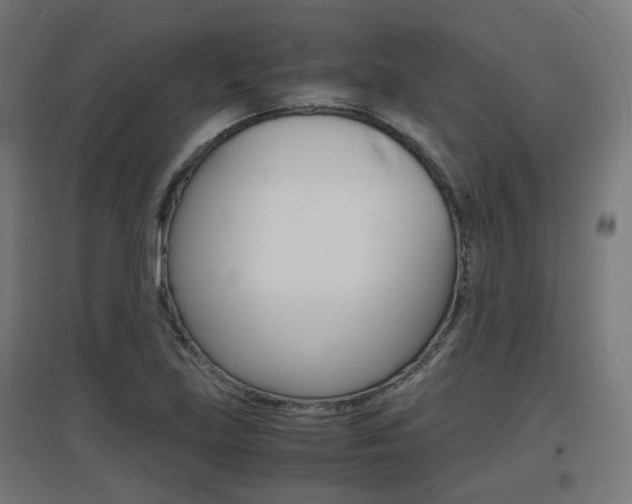 X0000097621219200802290812