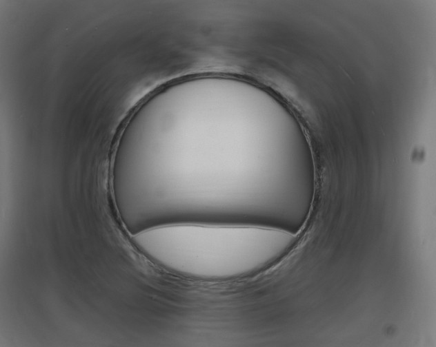 X0000097621220200802290812