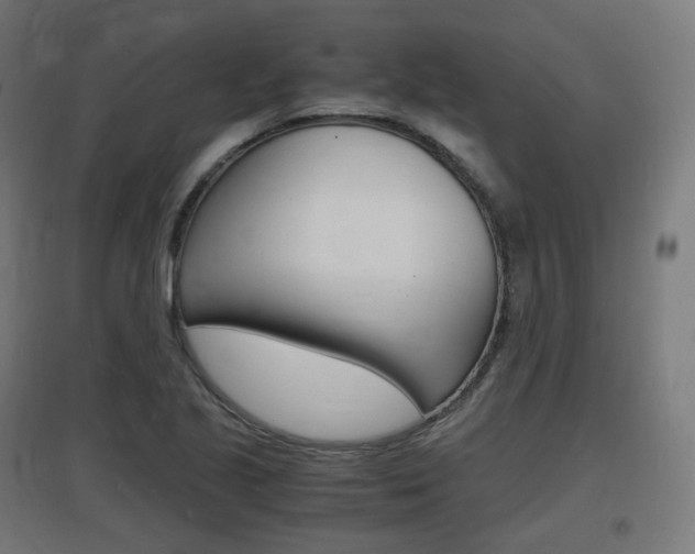 X0000097621221200802290813