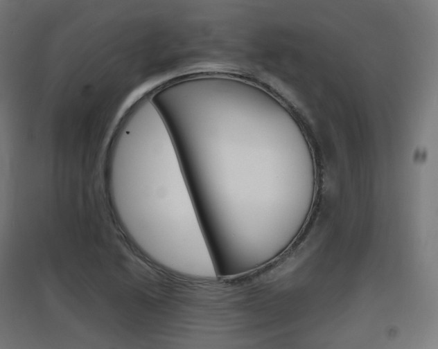 X0000097621222200802290813