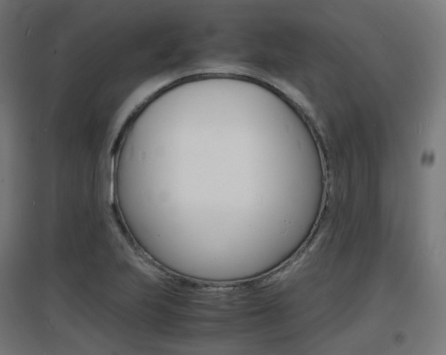 X0000097621223200802290813