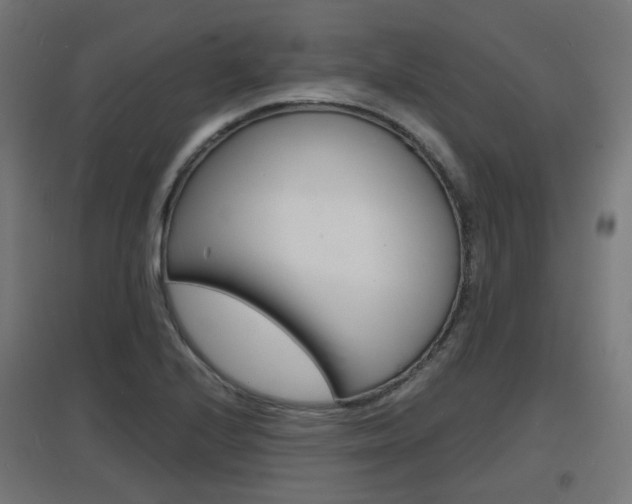 X0000097621224200802290813