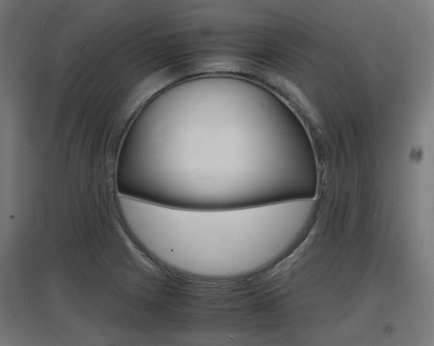 X0000097621225200802290813