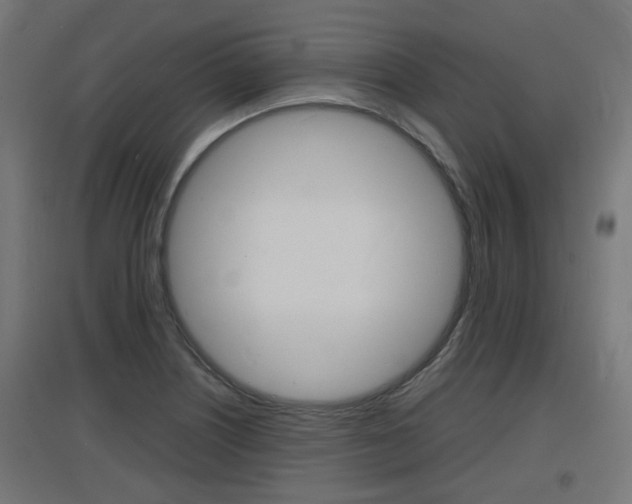 X0000097621226200802290813