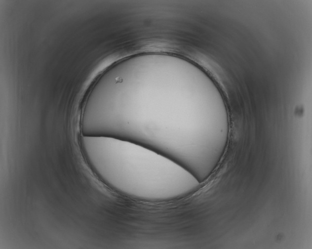 X0000097621227200802290813