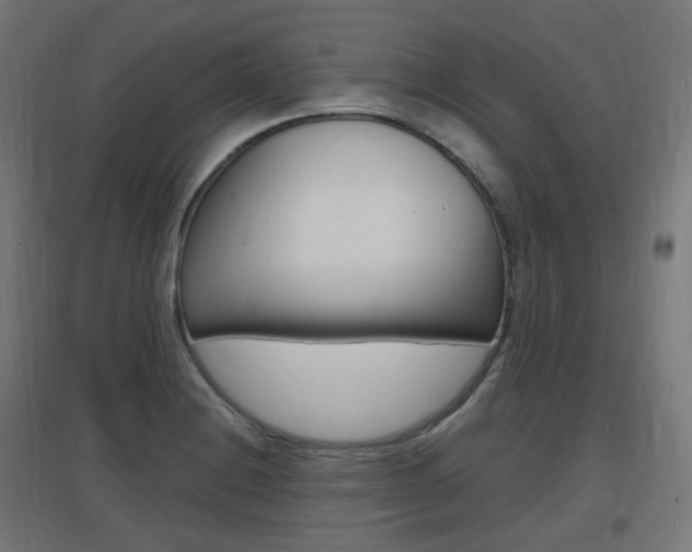 X0000097621228200802290813