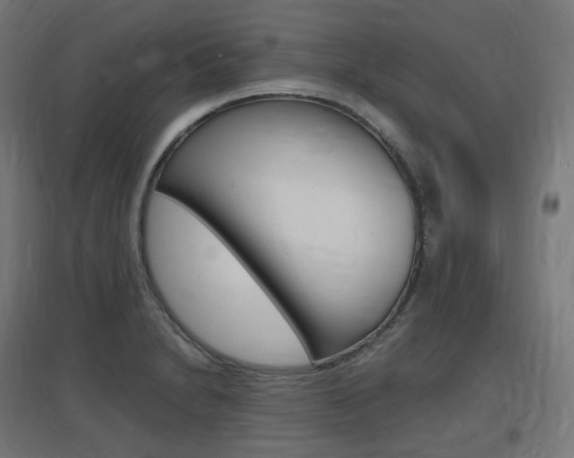 X0000097621230200802290813