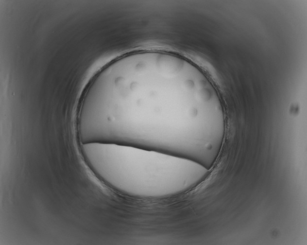 X0000097621231200802290813
