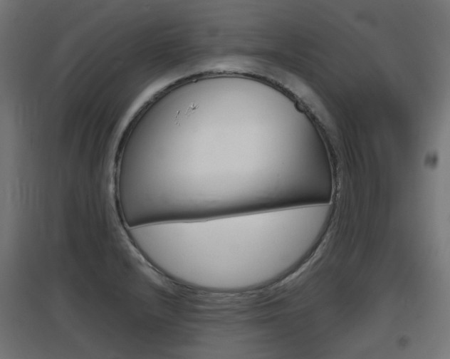 X0000097621232200802290813