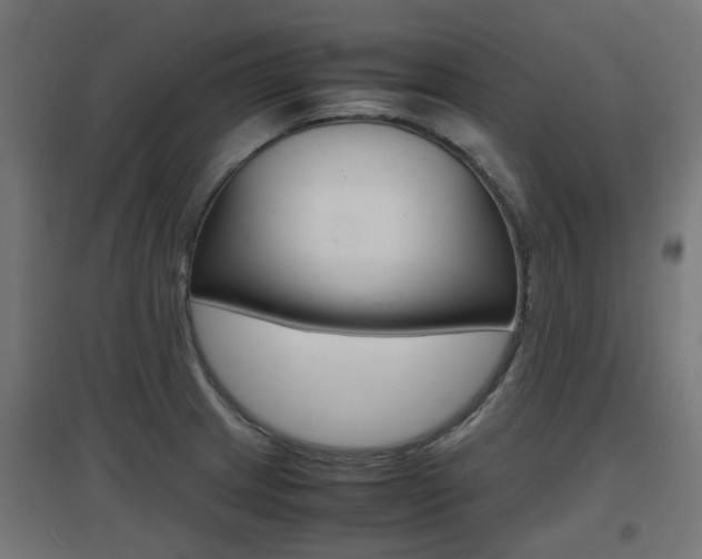 X0000097621233200802290813