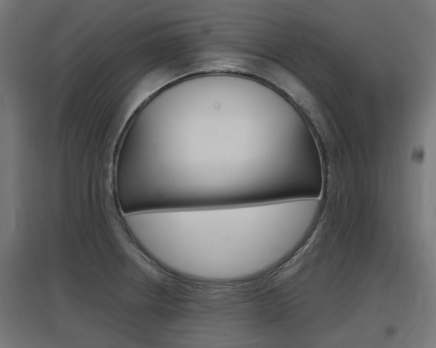 X0000097621234200802290813