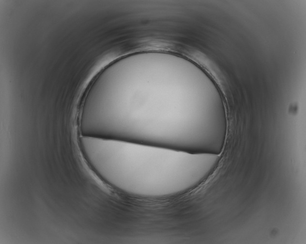 X0000097621235200802290813