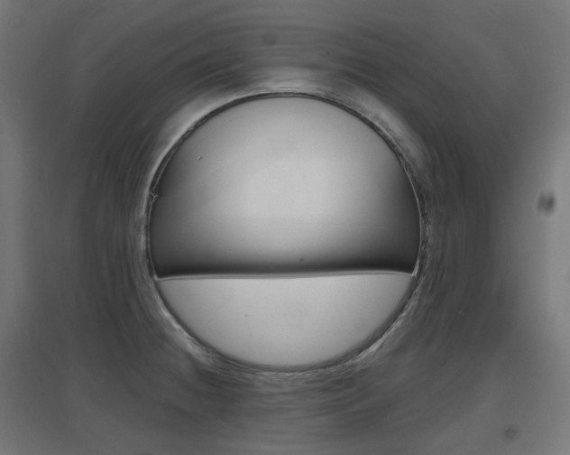 X0000097621236200802290813